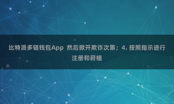 比特派多链钱包App 然后掀开欺诈次第;4. 按照指示进行注册和莳植
