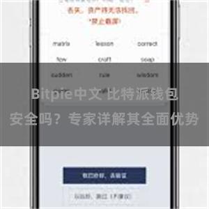 Bitpie中文 比特派钱包安全吗？专家详解其全面优势