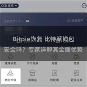 Bitpie恢复 比特派钱包安全吗？专家详解其全面优势