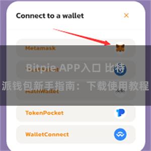 Bitpie APP入口 比特派钱包新手指南：下载使用教程