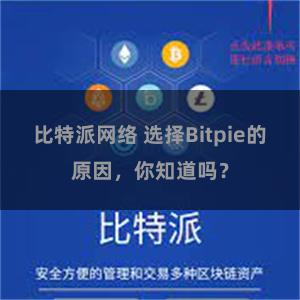 比特派网络 选择Bitpie的原因，你知道吗？