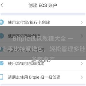 Bitpie钱包教程大全 一分钟上手比特派钱包，轻松管理多链资产