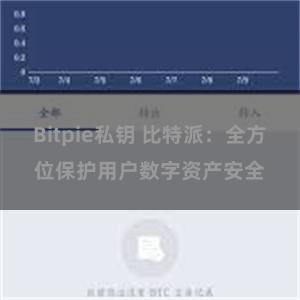 Bitpie私钥 比特派：全方位保护用户数字资产安全