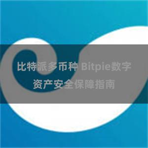 比特派多币种 Bitpie数字资产安全保障指南