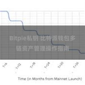 Bitpie私钥 比特派钱包多链资产管理操作指南