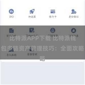 比特派APP下载 比特派钱包多链资产管理技巧：全面攻略