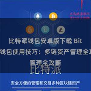 比特派钱包安卓版下载 Bitpie钱包使用技巧：多链资产管理全攻略