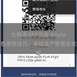 比特派APP功能 Bitpie钱包使用技巧：多链资产管理全攻略