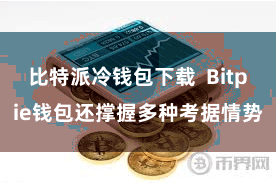 比特派冷钱包下载  Bitpie钱包还撑握多种考据情势