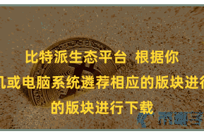 比特派生态平台  根据你的手机或电脑系统遴荐相应的版块进行下载
