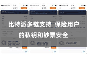 比特派多链支持  保险用户的私钥和钞票安全