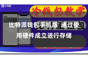 比特派钱包手机版  通过使用硬件成立进行存储