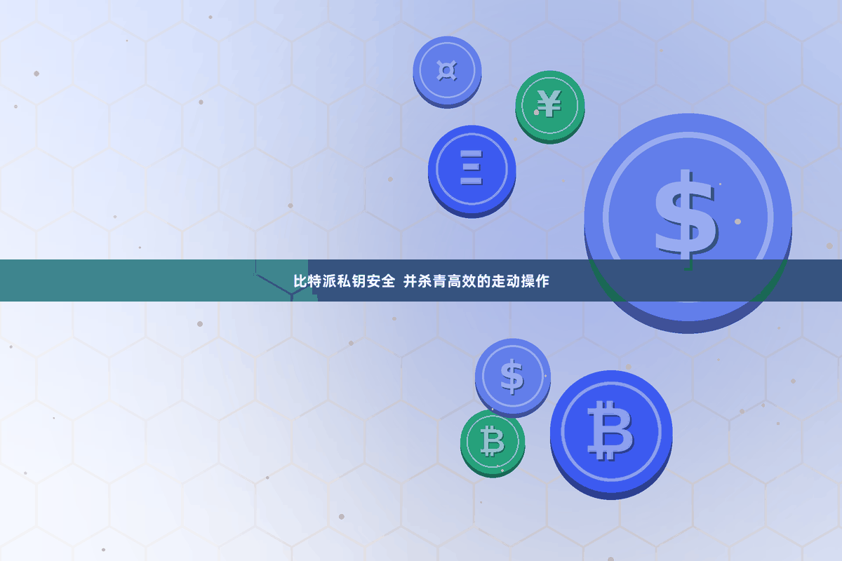 比特派私钥安全  并杀青高效的走动操作